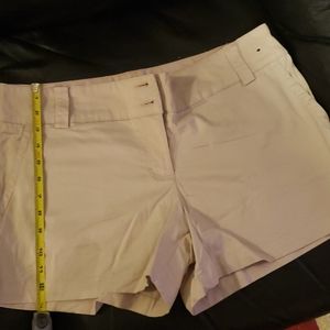 New York & Company Shorts